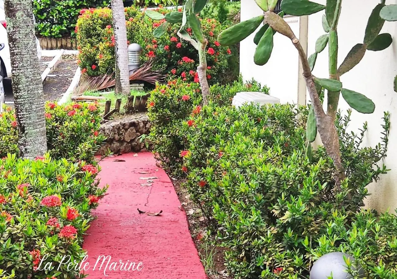 Beau Studio 4 Pers - La Perle Marine - Gosier - Proche De La Mer Et Des Restaurants Le Gosier  Appartement Le Gosier (Grande-Terre)