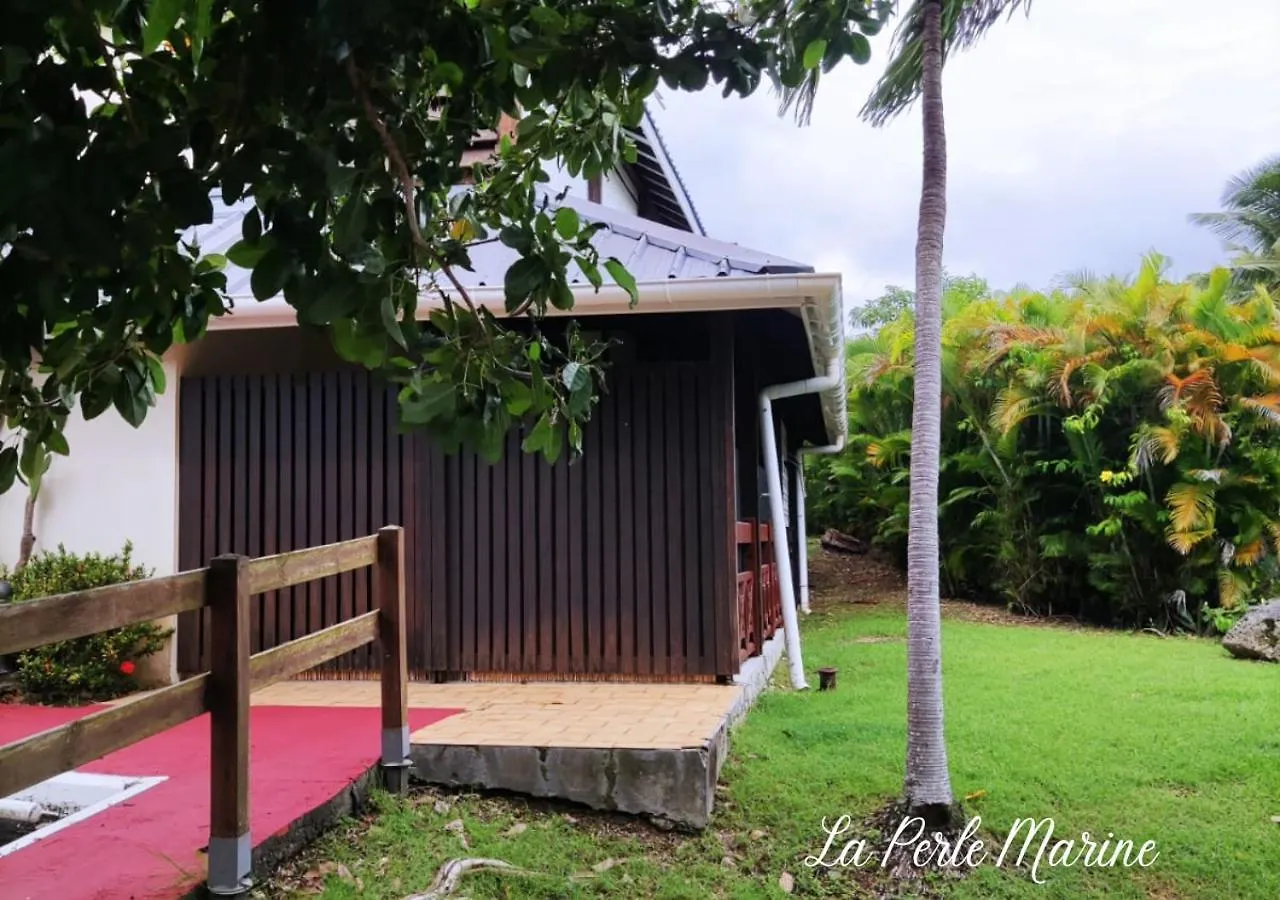 Beau Studio 4 Pers - La Perle Marine - Gosier - Proche De La Mer Et Des Restaurants Le Gosier  Guadeloupe